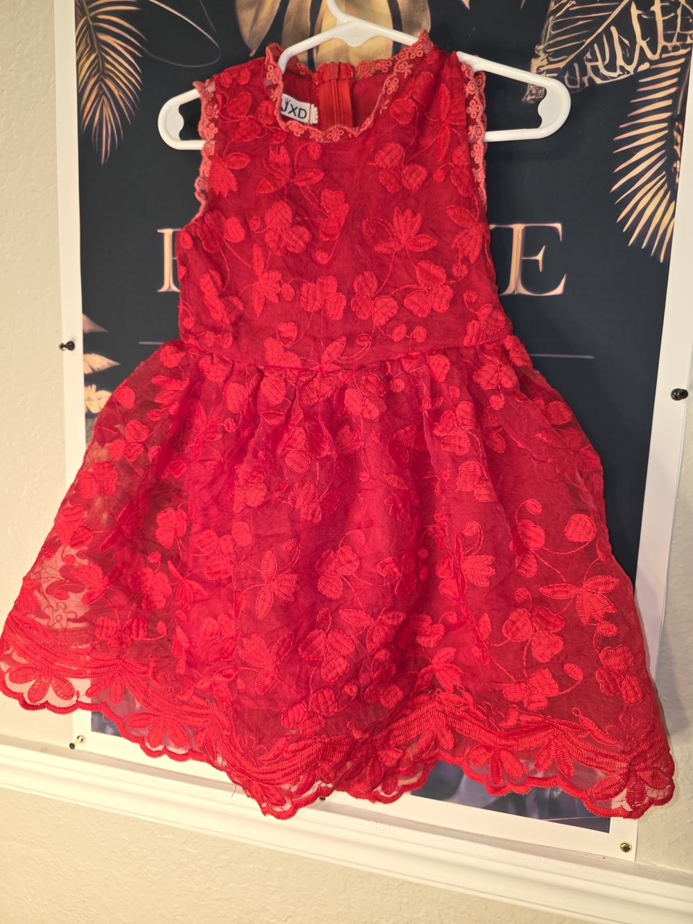 Elegant Red Floral Lace Girls' Party Dress